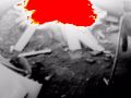 2014-06-07_bunker_enzesfeld_WBK_03