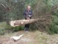 20141122_Christbaum_ORF_Noe_02