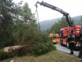 20141122_Christbaum_ORF_Noe_03