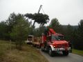 20141122_Christbaum_ORF_Noe_05