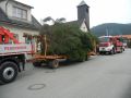 20141122_Christbaum_ORF_Noe_07