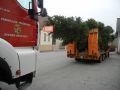 20141122_Christbaum_ORF_Noe_08