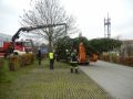 20141122_Christbaum_ORF_Noe_10