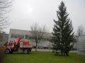 20141122_Christbaum_ORF_Noe_16