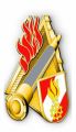 20151216_APLE_Abzeichen_in_Gold