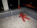 20210304_Zugsuebung_06