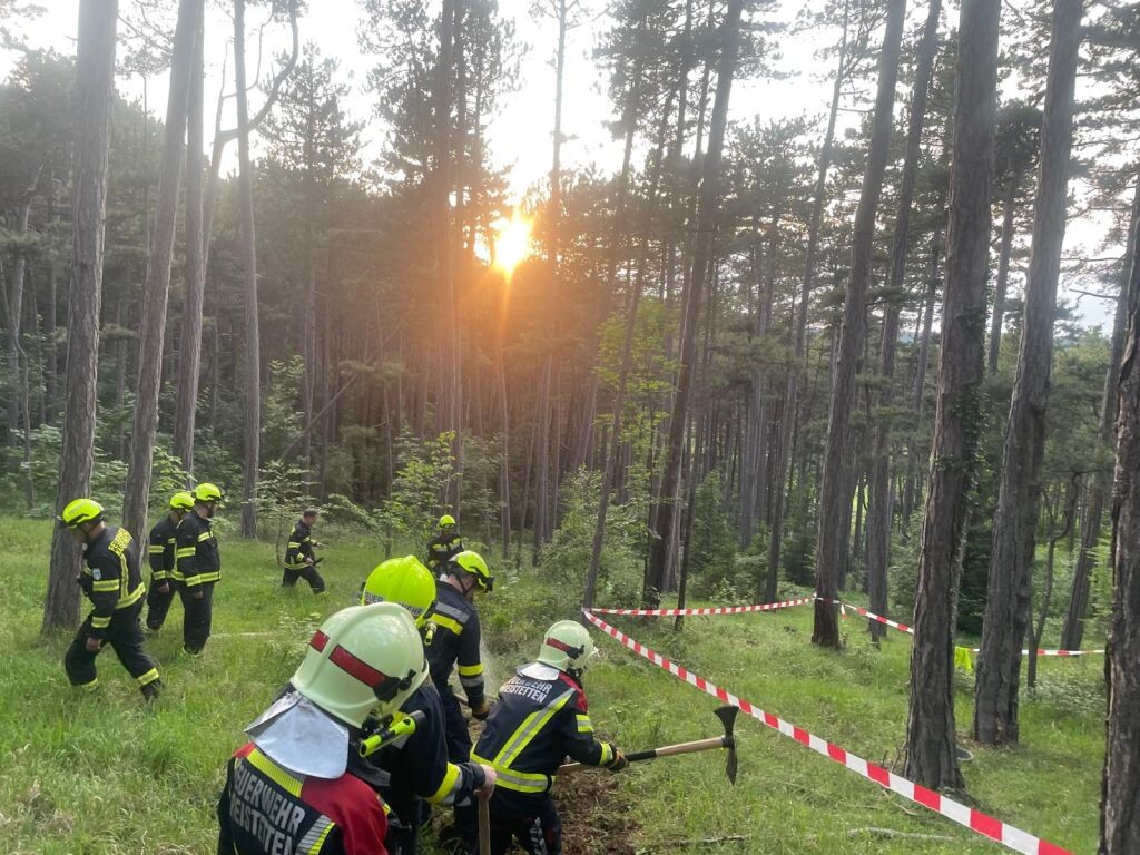 Gesamtübung „Waldbrand“ mit anschließendem Fahrzeugbrand