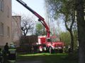 20110410_sturmschaden_pic03