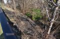 20120320_Waldbrand_Woellersdorf_01