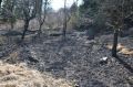 20120320_Waldbrand_Woellersdorf_06