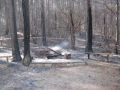 20120322_Waldbrand_Winzendorf_02