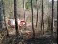 20120322_Waldbrand_Winzendorf_05
