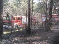 20120322_Waldbrand_Winzendorf_Titlebild