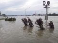 20130605_Persenbeug_06