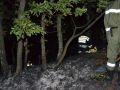 20130725_Waldbrand_01
