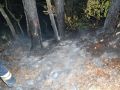 20130725_Waldbrand_03