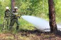 2014-06-28_waldbrand_hernstein_02