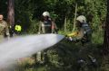 2014-06-28_waldbrand_hernstein_03