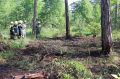 2014-06-28_waldbrand_hernstein_04