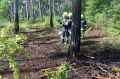 2014-06-28_waldbrand_hernstein_05