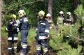 2014-06-28_waldbrand_hernstein_077