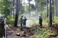 2014-06-28_waldbrand_hernstein_08