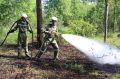 2014-06-28_waldbrand_hernstein_09