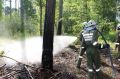 2014-06-28_waldbrand_hernstein_10