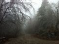 20141202_KHD_Hohe_Wand_02