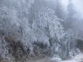20141202_KHD_Hohe_Wand_09