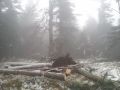 20141206_Raeumung_Hohe_Wand_12