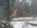20141206_Raeumung_Hohe_Wand_13