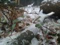 20141206_Raeumung_Hohe_Wand_14