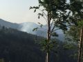 20170624_Waldbrand_Gutenstein_01
