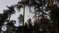 20170624_Waldbrand_Gutenstein_03