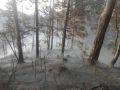 20170624_Waldbrand_Gutenstein_05