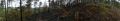 20170624_Waldbrand_Gutenstein_08