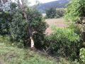 20180903_VU_B21_04