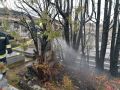 20240209_Vegetationbrand_Friedhof_02