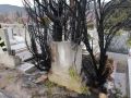 20240209_Vegetationbrand_Friedhof_03