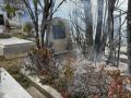 20240209_Vegetationbrand_Friedhof_04