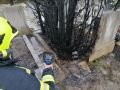 20240209_Vegetationbrand_Friedhof_05