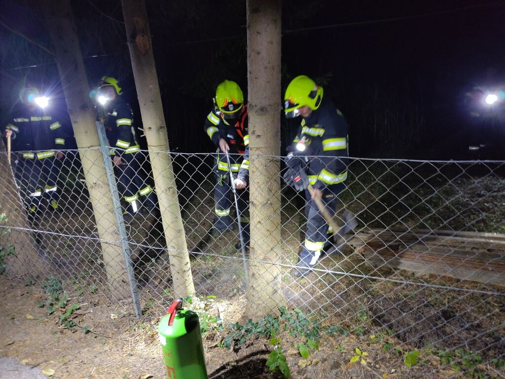 Vegetationsbrand neben Radweg