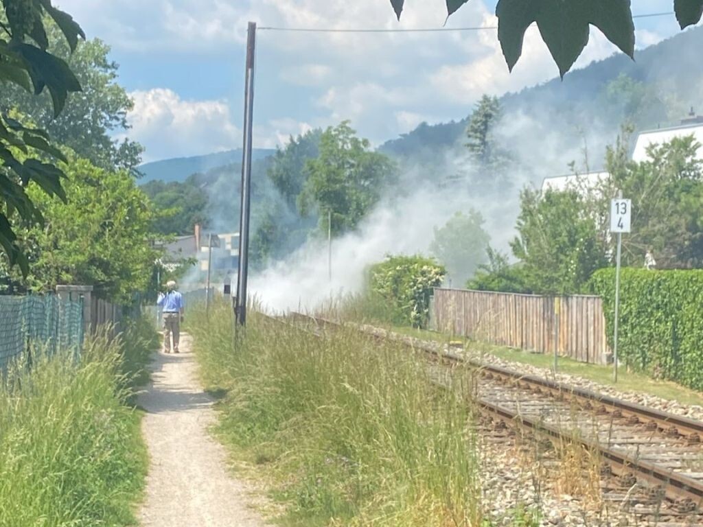 Bahndammbrand neben dem Generationenpark